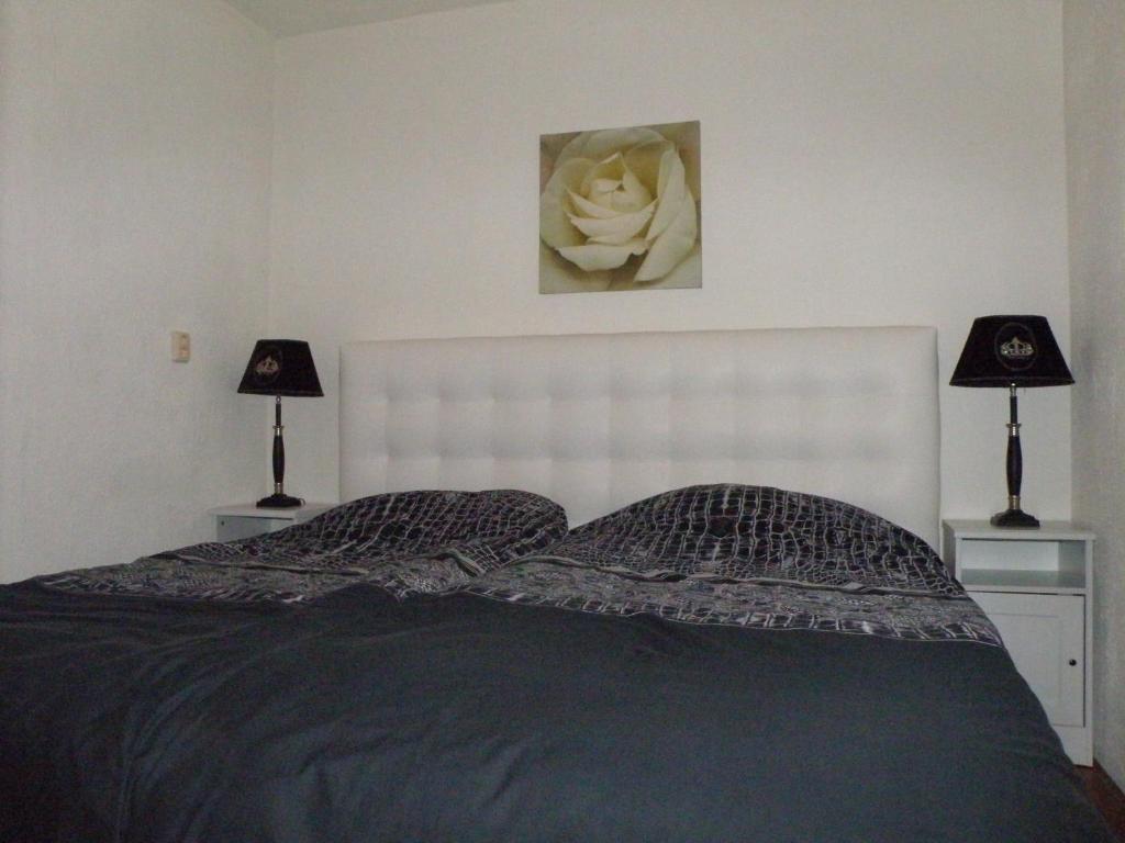 Apartment Seastar ซานด์โวร์ต ห้อง รูปภาพ
